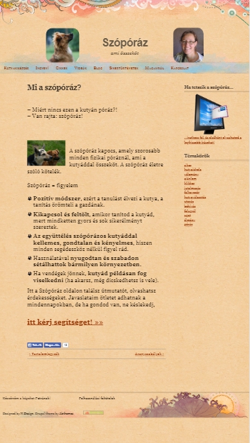 megtérülő weboldal