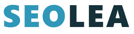 SEOLEA audit